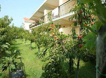 סקליאה Bed And Breakfast Cirelli מראה חיצוני תמונה