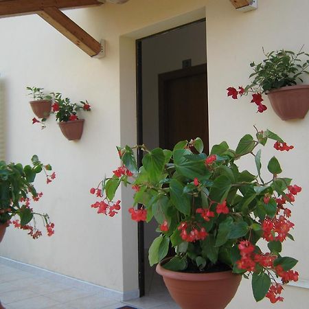 סקליאה Bed And Breakfast Cirelli מראה חיצוני תמונה