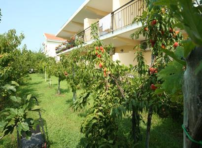 סקליאה Bed And Breakfast Cirelli מראה חיצוני תמונה