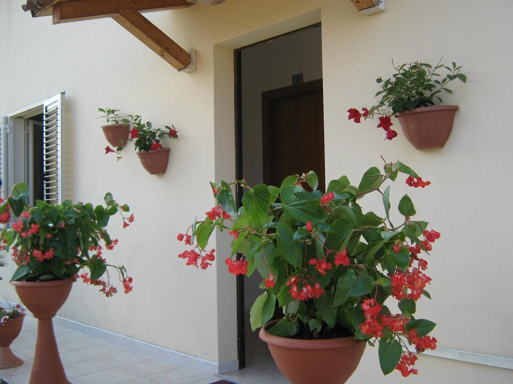 סקליאה Bed And Breakfast Cirelli מראה חיצוני תמונה